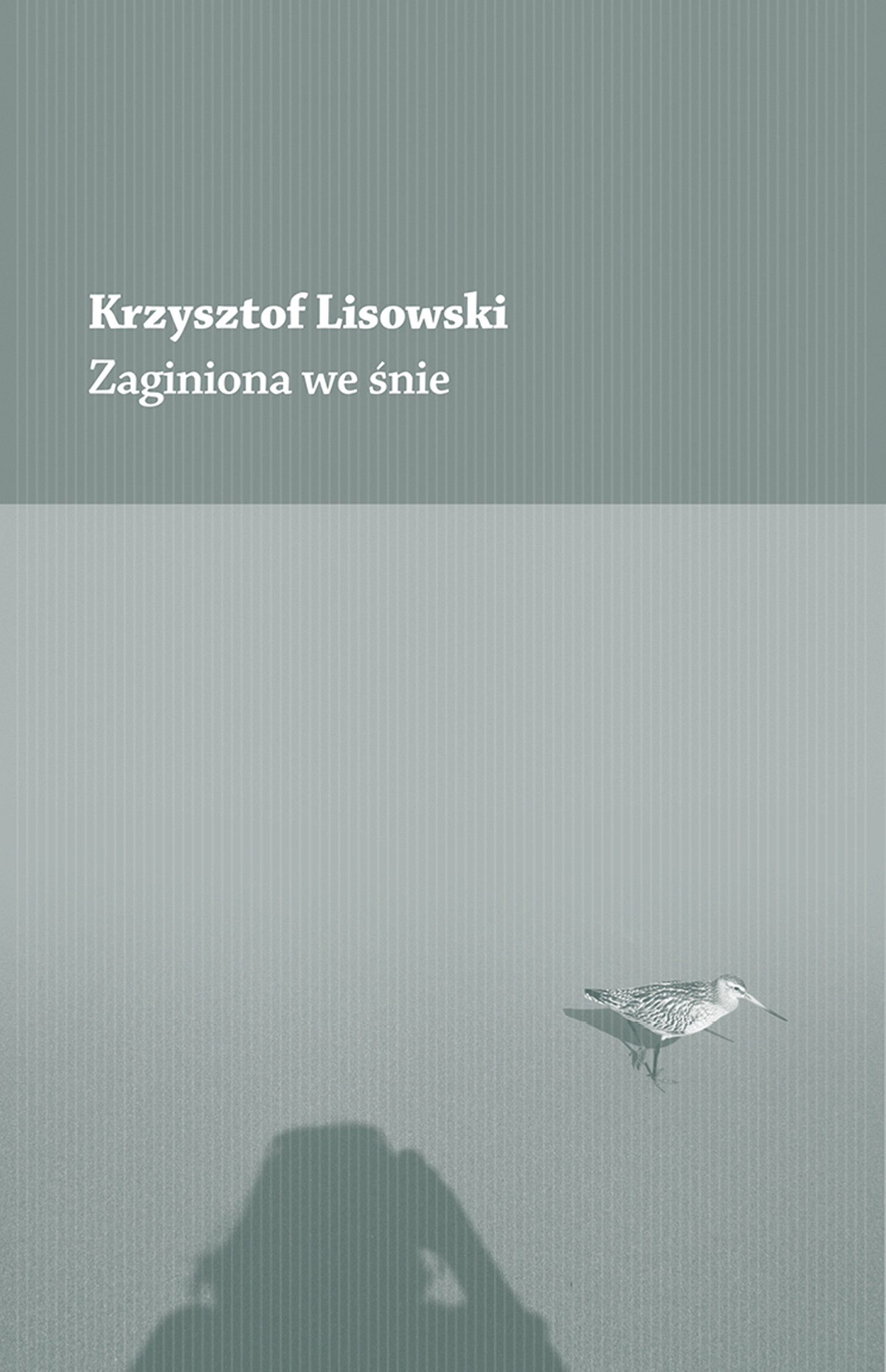 Krzysztof Lisowski, Zaginiona we śnie